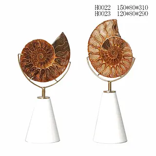 Accesorio Decorativo Grafito 70