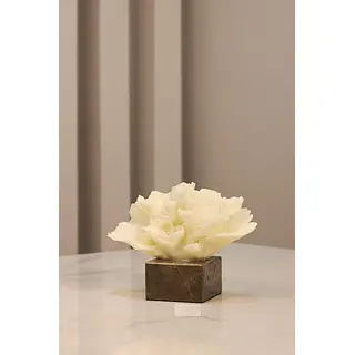Escultura En Coral 1174