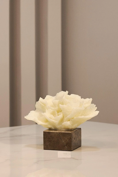 Escultura En Coral 1174